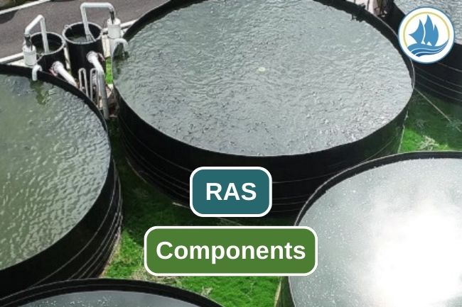 Get To Know The 12 Devices in RAS Cultivation